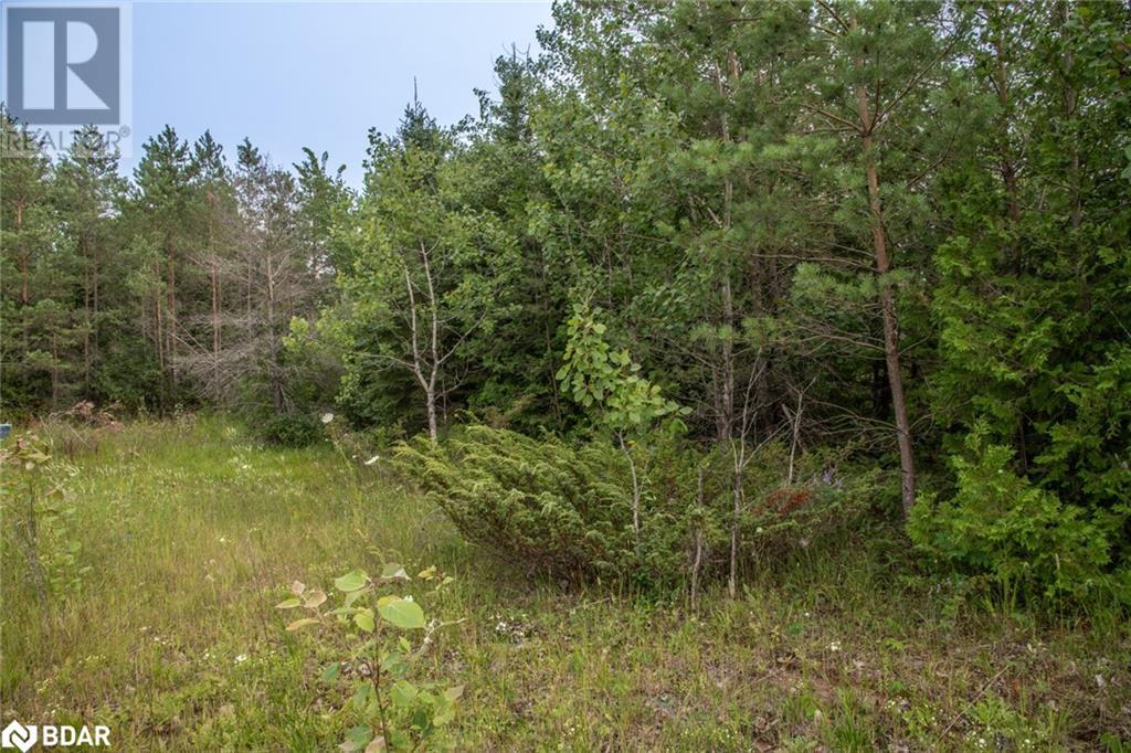 Lot 250 Mcguire Beach Road, Kawartha Lakes, Ontario  K0M 2B0 - Photo 2 - 40469331