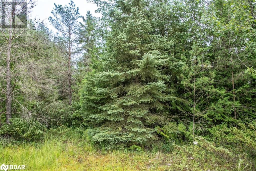 Lot 250 Mcguire Beach Road, Kawartha Lakes, Ontario  K0M 2B0 - Photo 4 - 40469331