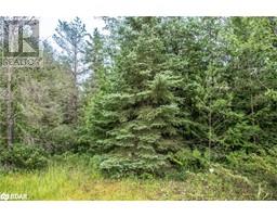 LOT 250 MCGUIRE BEACH Road