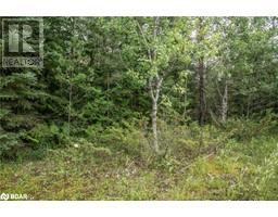 LOT 250 MCGUIRE BEACH Road
