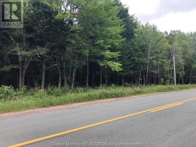 76-1 Route 134, Galloway, New Brunswick  E4T 1W8 - Photo 2 - M154606