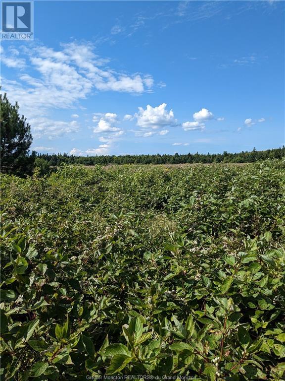 Lot 94.5 Route 960, Upper Cape, New Brunswick  E4M 2V2 - Photo 2 - M154335