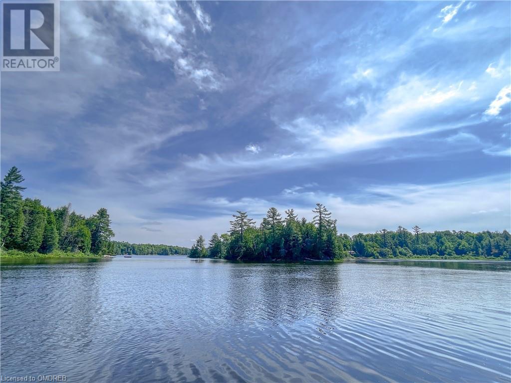 351 Skene Road, Gilmour, Ontario  K0L 1W0 - Photo 48 - 40469940