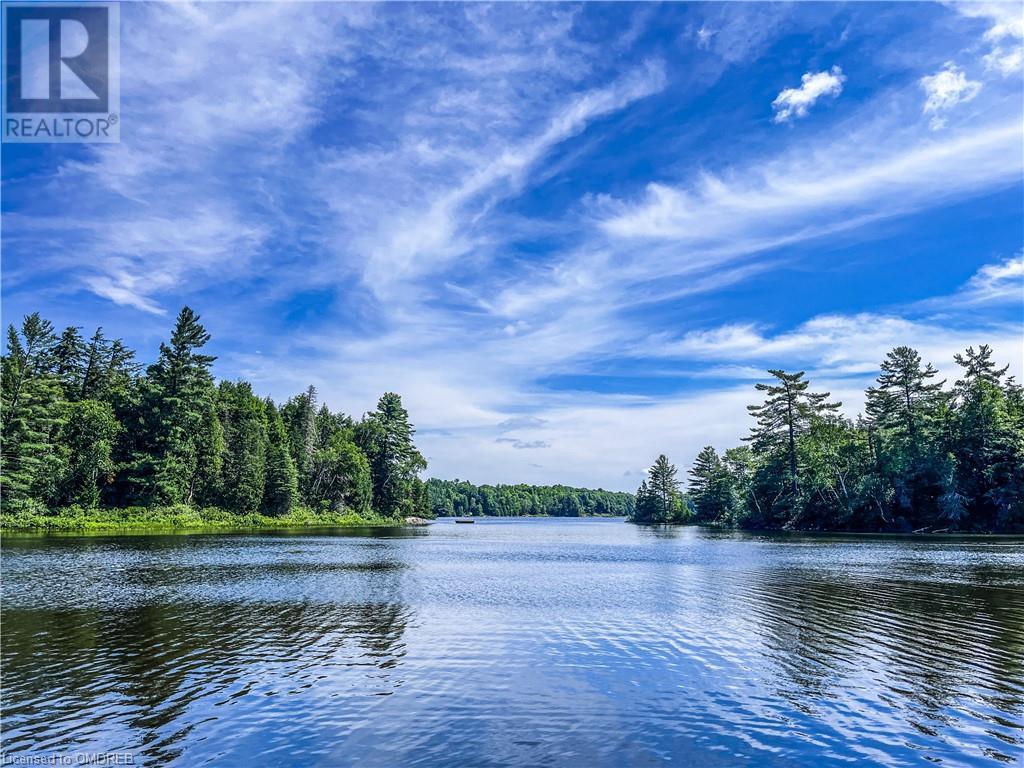 351 Skene Road, Gilmour, Ontario  K0L 1W0 - Photo 47 - 40469940