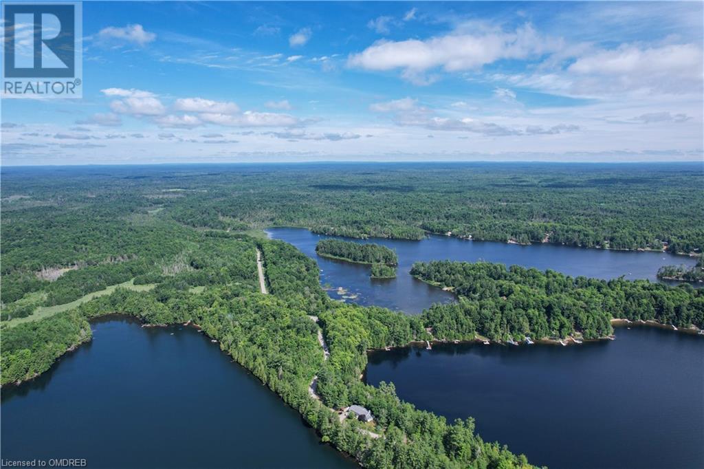 351 Skene Road, Gilmour, Ontario  K0L 1W0 - Photo 45 - 40469940