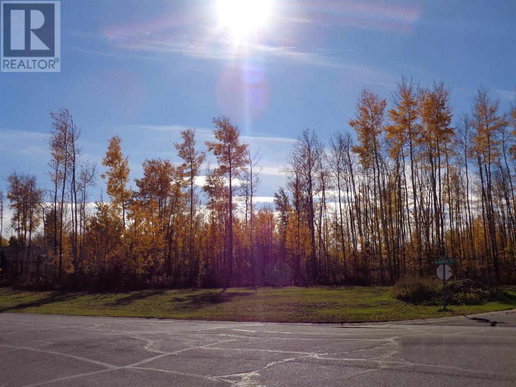 1 Boreal Crescent, High Level, Alberta  T0H 1Z0 - Photo 1 - A1027509