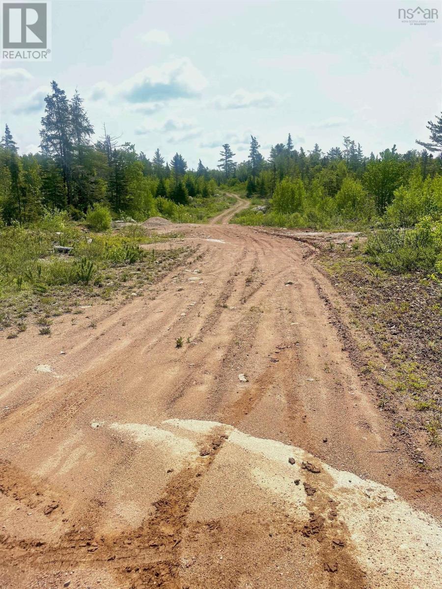 Lots Highway 12, Aldersville, Nova Scotia  B0J 2M0 - Photo 12 - 202317367