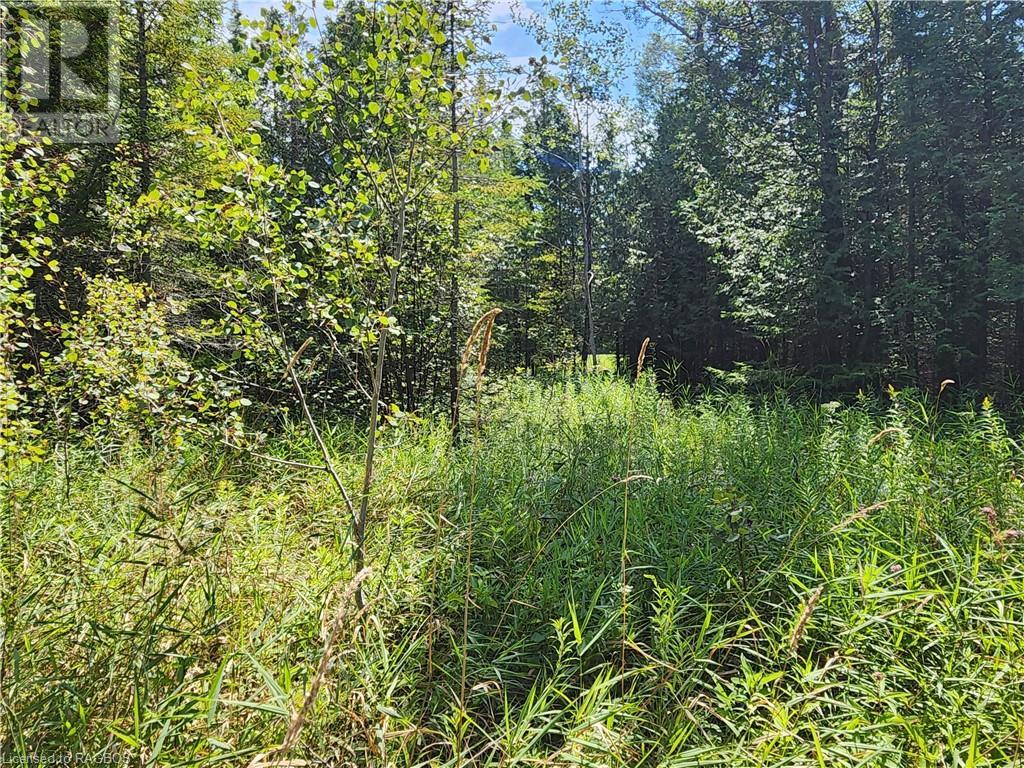 162 Widgeon Cove Road, Northern Bruce Peninsula, Ontario  N0H 2T0 - Photo 41 - 40468752