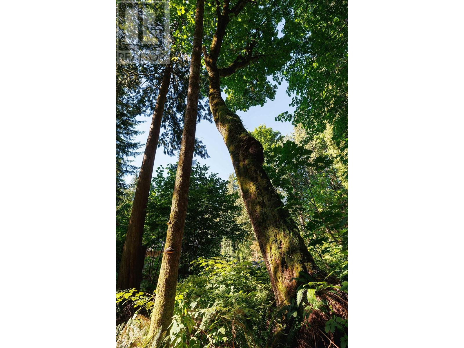 26045 100th Avenue, Maple Ridge, British Columbia  V2W 1S4 - Photo 37 - R2807957