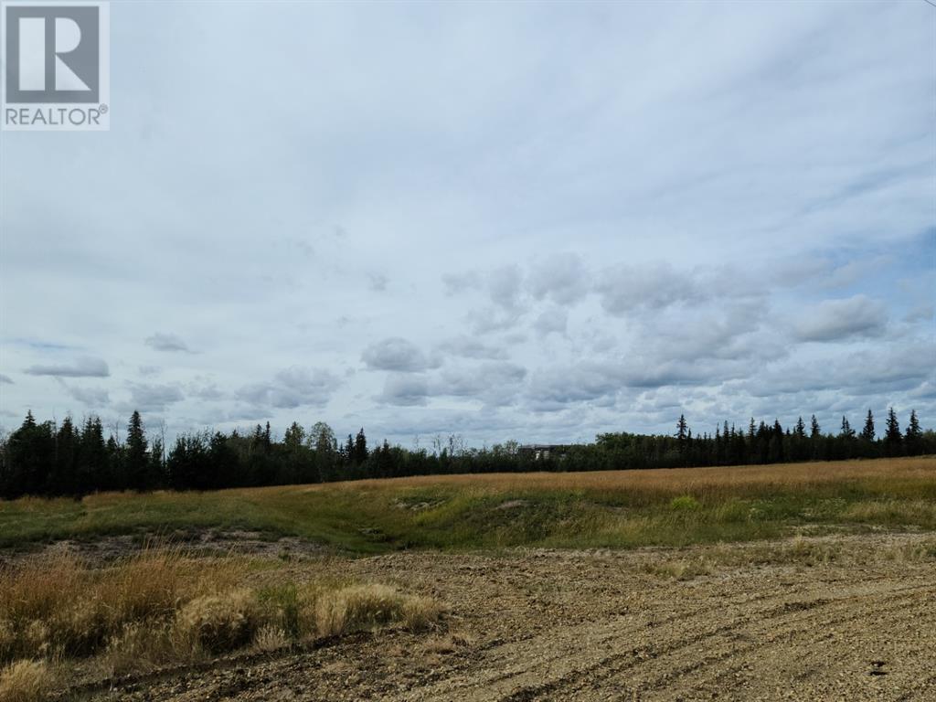 95 Knox Road, Rural Northern Sunrise County, Alberta  T8S 1R7 - Photo 2 - A1028356