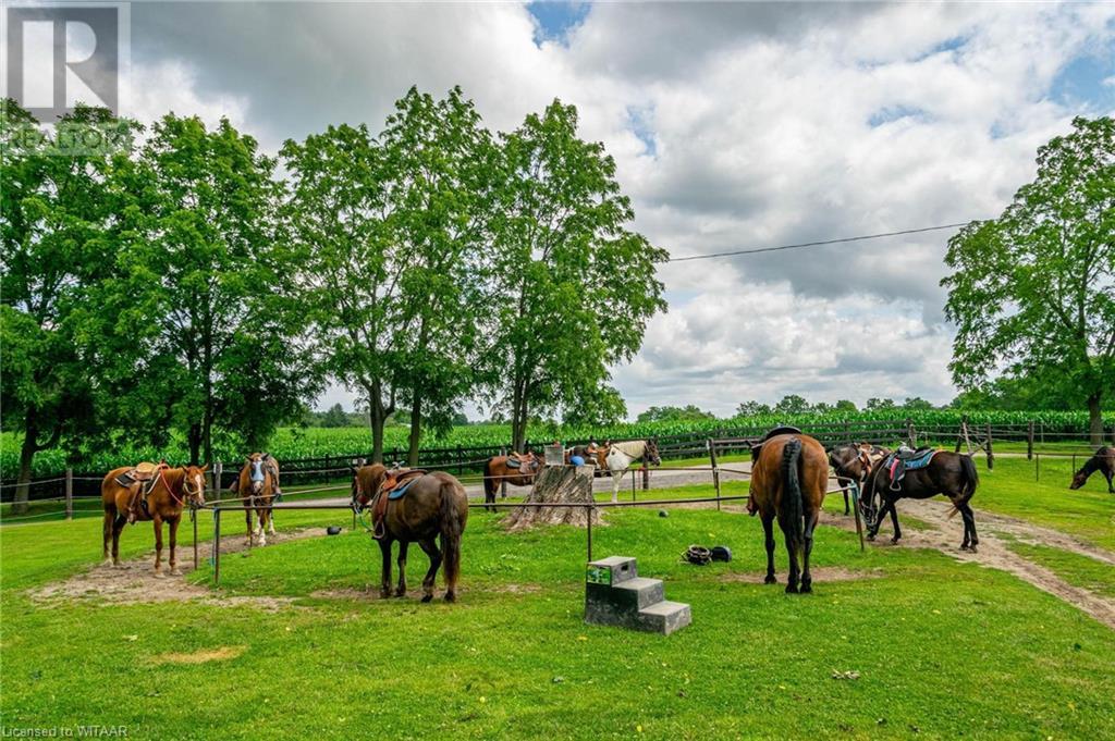 32553 Erin Line, Fingal, Ontario  N0L 1K0 - Photo 6 - 40462195