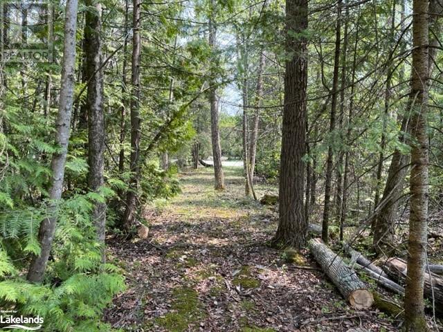 Lot 191-193 Mallory Beach Road, South Bruce Peninsula, Ontario  N0H 2T0 - Photo 10 - 40470929