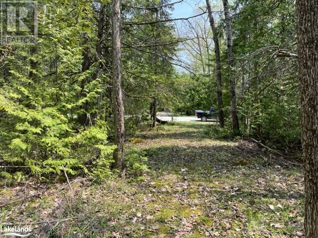 Lot 191-193 Mallory Beach Road, South Bruce Peninsula, Ontario  N0H 2T0 - Photo 11 - 40470929