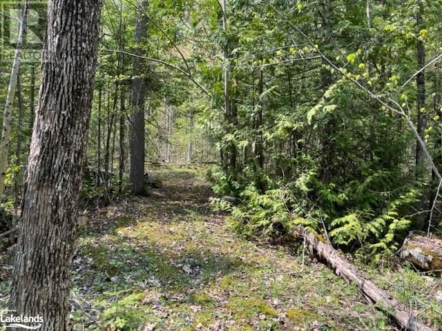 Lot 191-193 Mallory Beach Road, South Bruce Peninsula, Ontario  N0H 2T0 - Photo 12 - 40470929