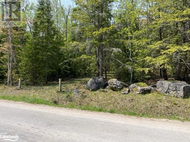 Lot 191-193 Mallory Beach Road, South Bruce Peninsula, Ontario  N0H 2T0 - Photo 2 - 40470929