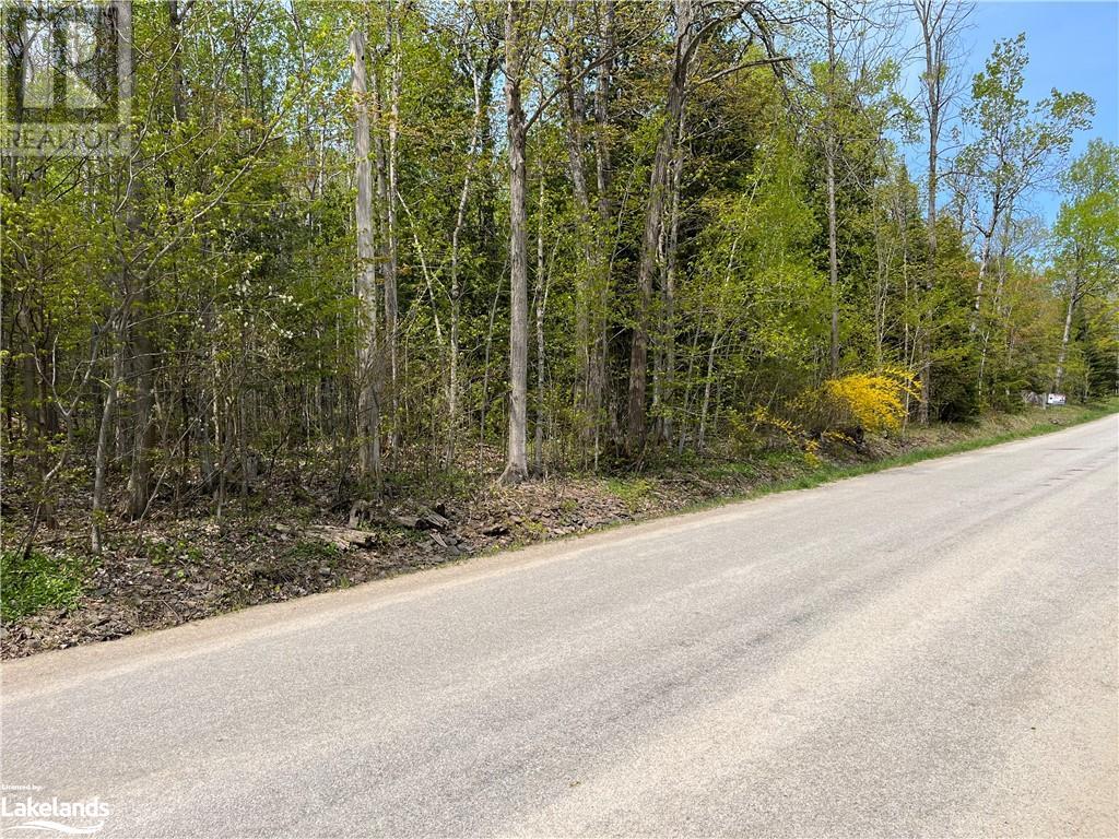 Lot 191-193 Mallory Beach Road, South Bruce Peninsula, Ontario  N0H 2T0 - Photo 4 - 40470929