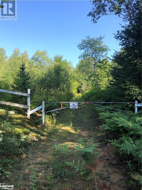 Lot 6-10 Moon Road, Haliburton, Ontario  K0M 1S0 - Photo 2 - 40471139