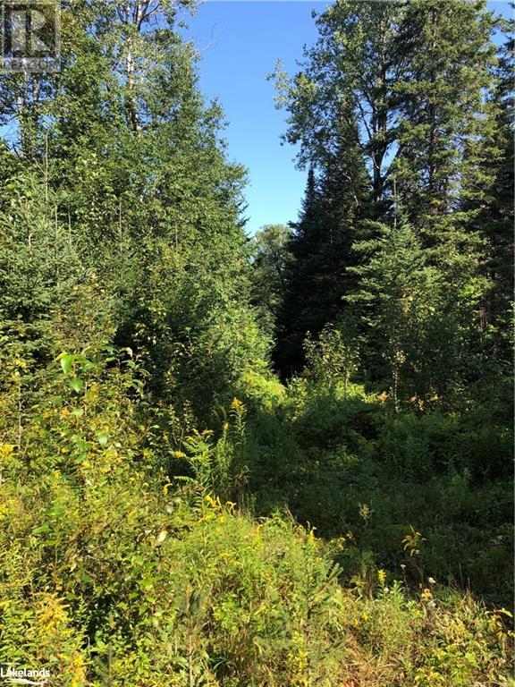 Lot 6-10 Moon Road, Haliburton, Ontario  K0M 1S0 - Photo 4 - 40471139