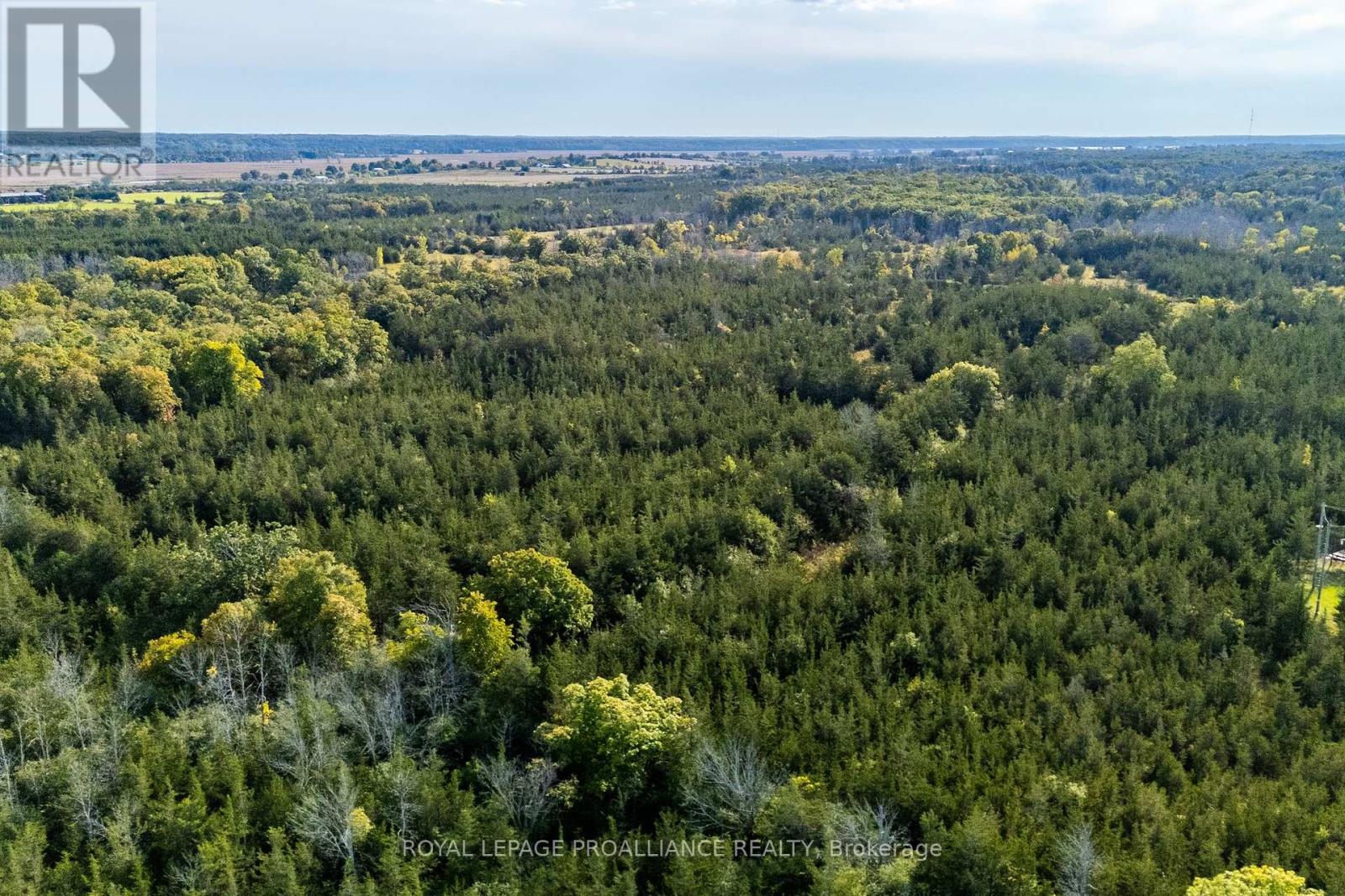 Lot 45 Sprague Road, Prince Edward County (Sophiasburgh), Ontario  K0K 1W0 - Photo 10 - X6685510