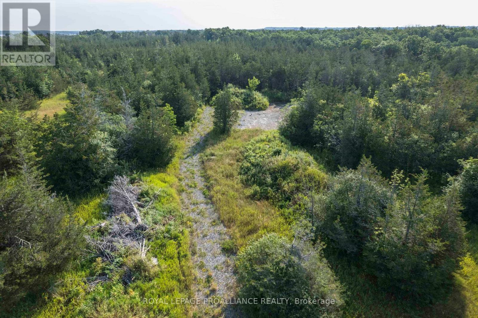 Lot 45 Sprague Road, Prince Edward County, Ontario  K0K 1W0 - Photo 5 - X6685510