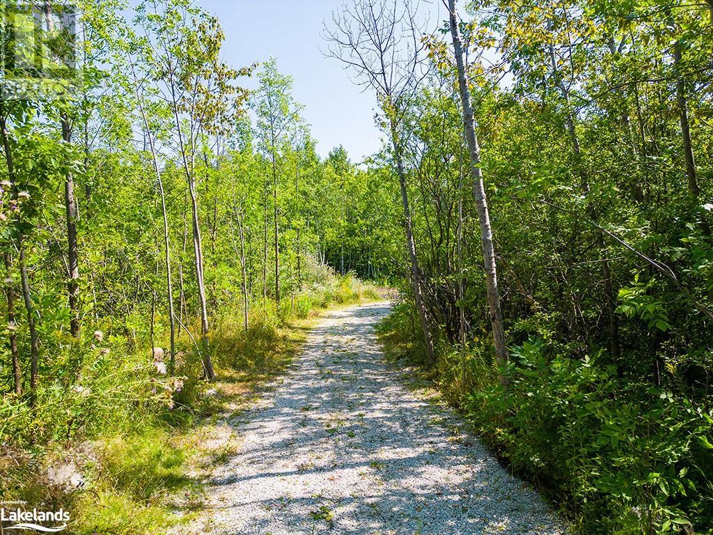 350381 Concession A Road, Meaford, Ontario  N0H 1B0 - Photo 10 - 40471486