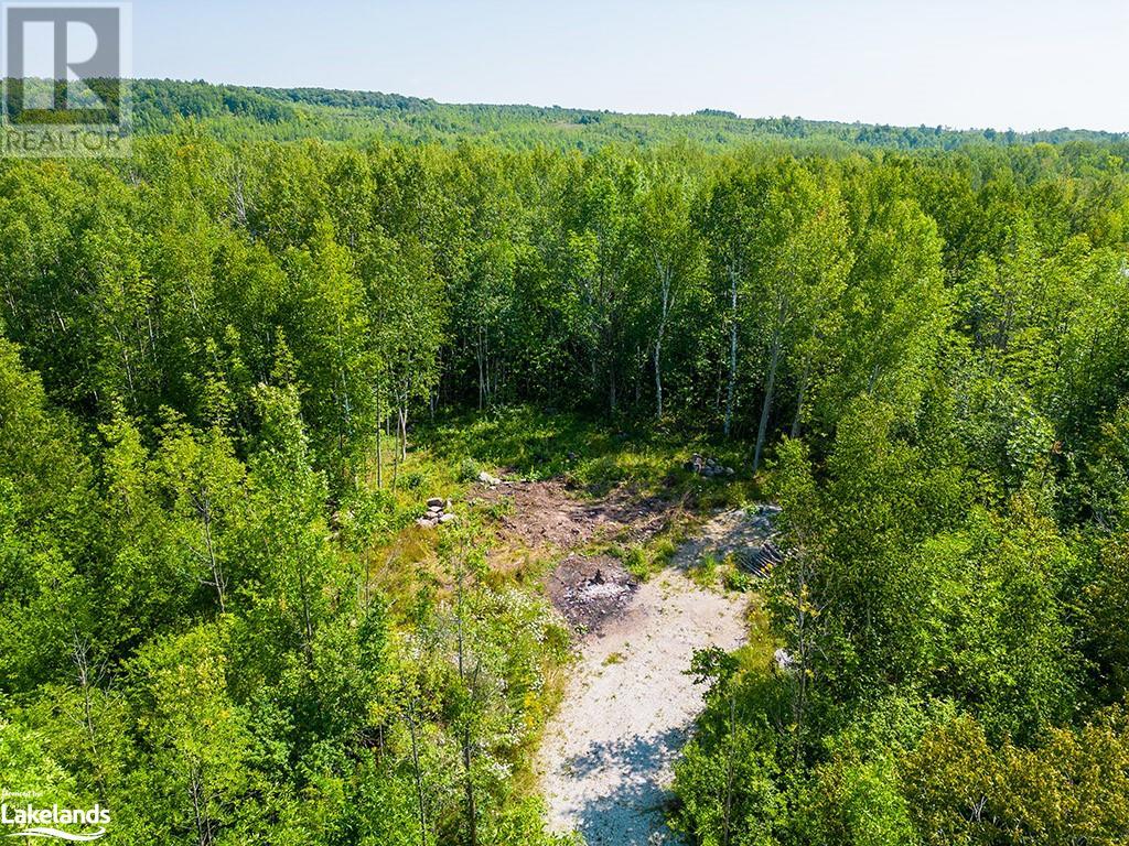 350381 Concession A Road, Meaford, Ontario  N0H 1B0 - Photo 12 - 40471486