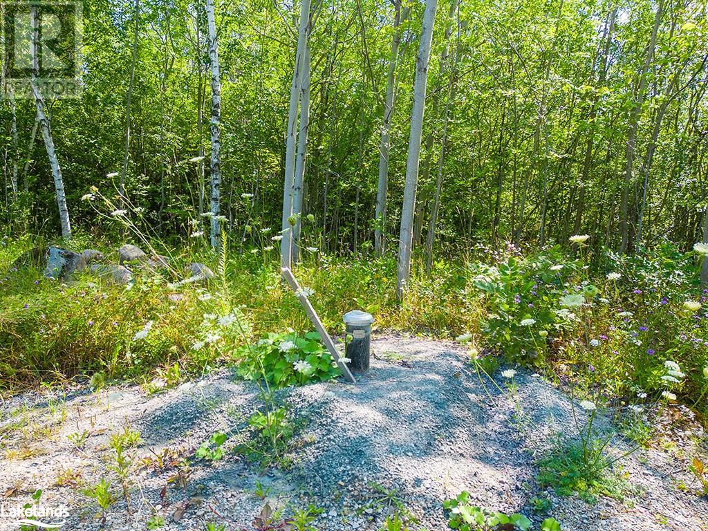 350381 Concession A Road, Meaford, Ontario  N0H 1B0 - Photo 16 - 40471486