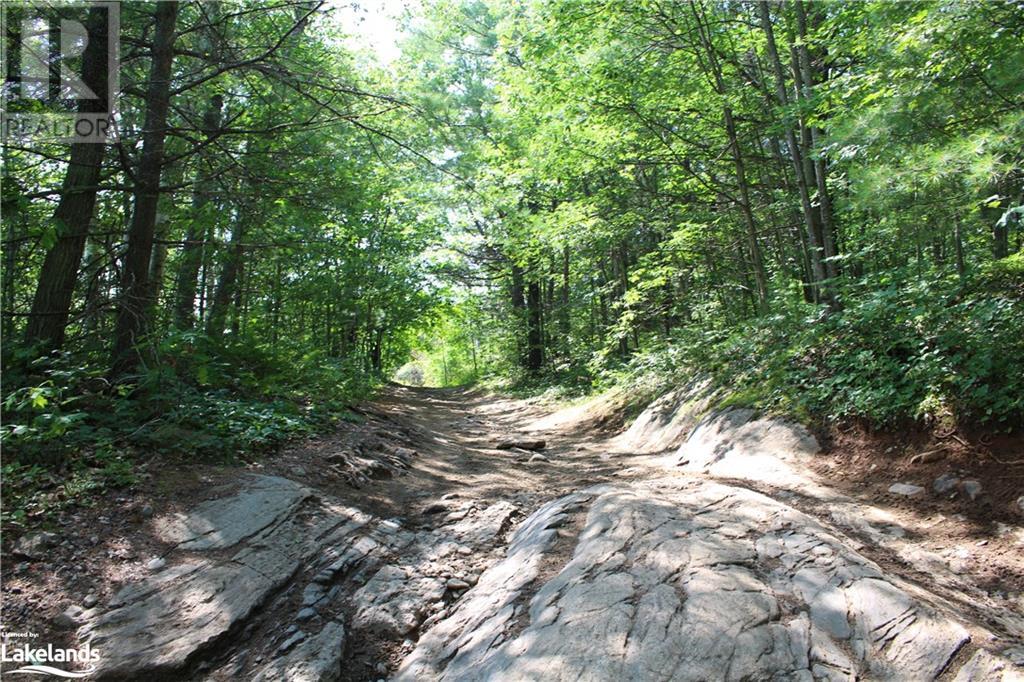 0 Beer Lake Road, Minden, Ontario  K0M 2K0 - Photo 5 - 40471775