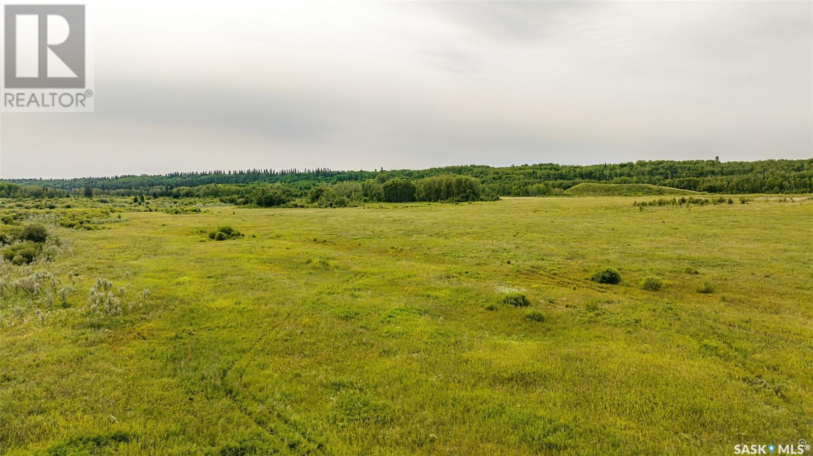 Rm Of Shellbrook Gravel Land, Shellbrook Rm No. 493, Saskatchewan  S0J 2E0 - Photo 9 - SK942351