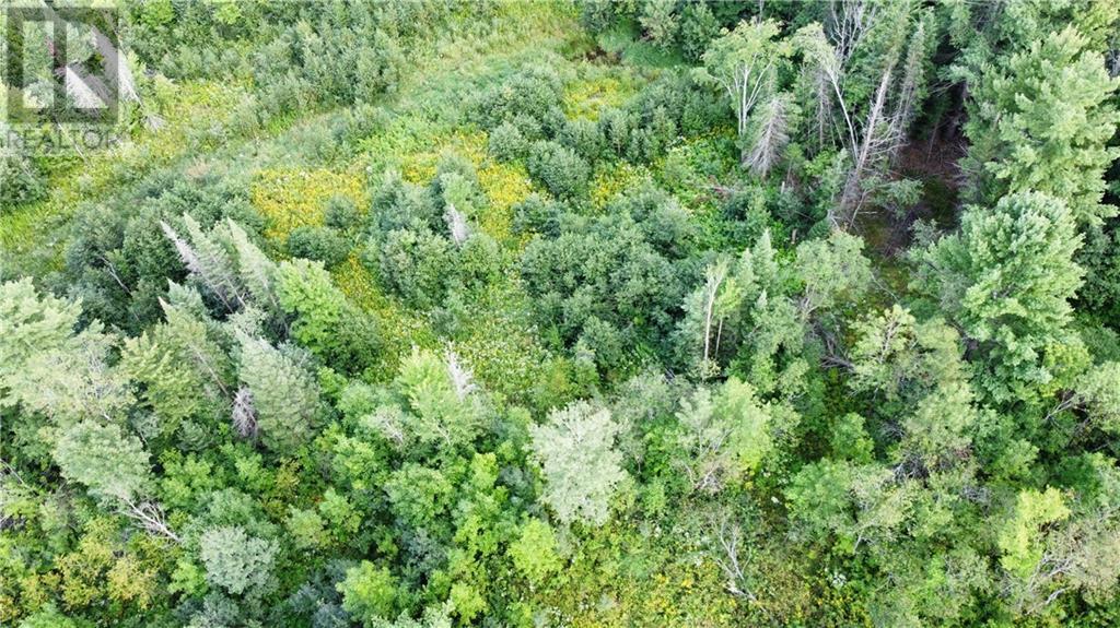 70 Bannockburn Road, Madoc, Ontario  K0K 1Y0 - Photo 14 - 1357608