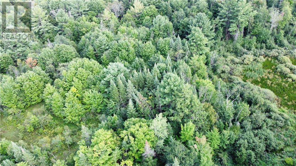 70 Bannockburn Road, Madoc, Ontario  K0K 1Y0 - Photo 16 - 1357608