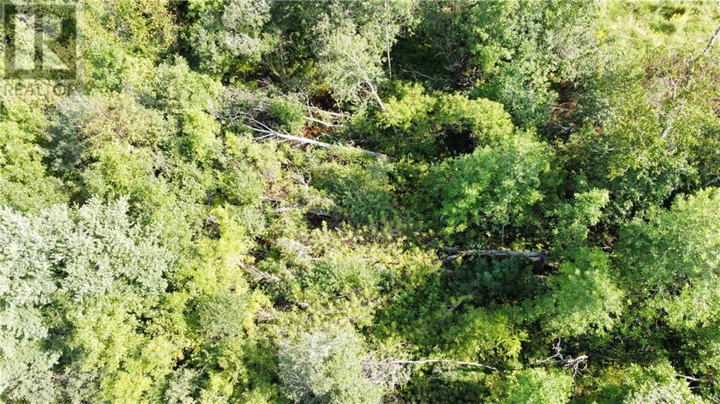 70 Bannockburn Road, Madoc, Ontario  K0K 1Y0 - Photo 2 - 1357608