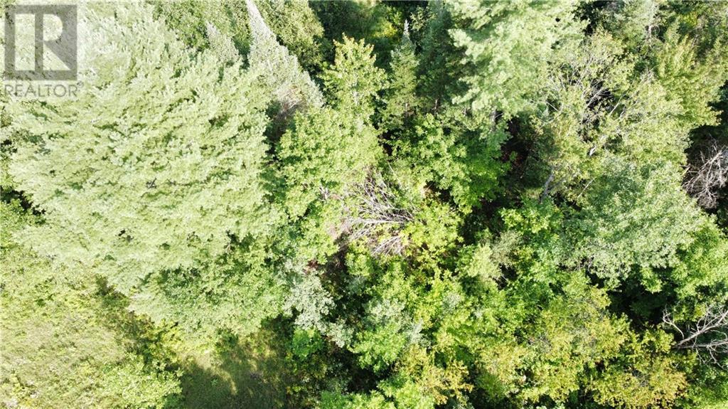 70 Bannockburn Road, Madoc, Ontario  K0K 1Y0 - Photo 3 - 1357608