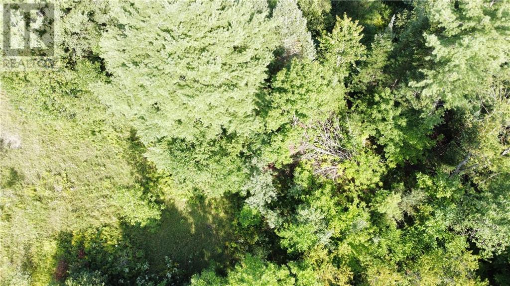 70 Bannockburn Road, Madoc, Ontario  K0K 1Y0 - Photo 4 - 1357608