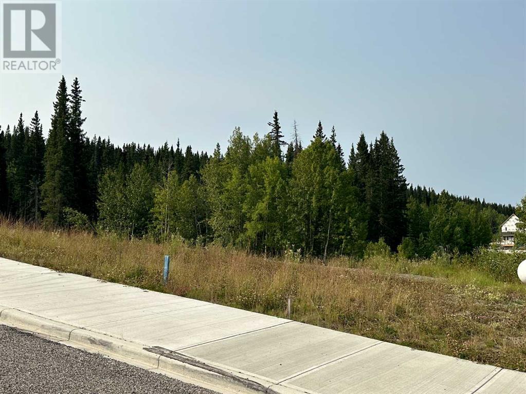 Lorem Ipsum Dolor, Nordegg, Alberta  T0M  - Photo 10 - DEMO25982470
