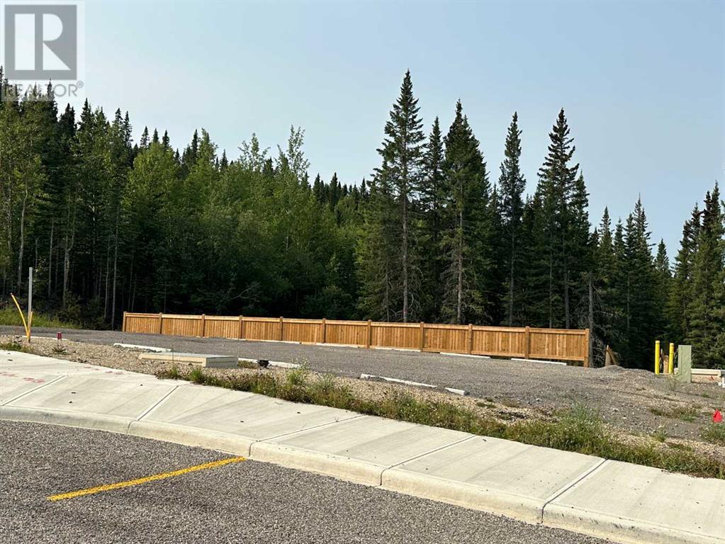 Lorem Ipsum Dolor, Nordegg, Alberta  T0M  - Photo 11 - DEMO25982470