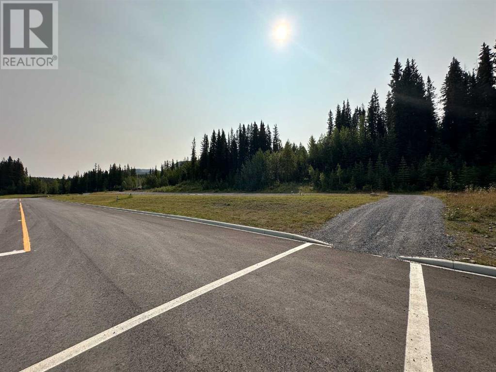 Lorem Ipsum Dolor, Nordegg, Alberta  T0M  - Photo 18 - DEMO25982470