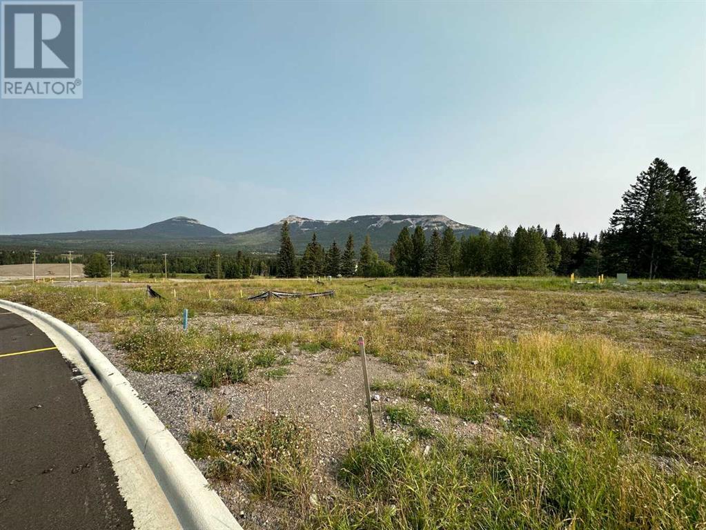 Lorem Ipsum Dolor, Nordegg, Alberta  T0M  - Photo 19 - DEMO25982470