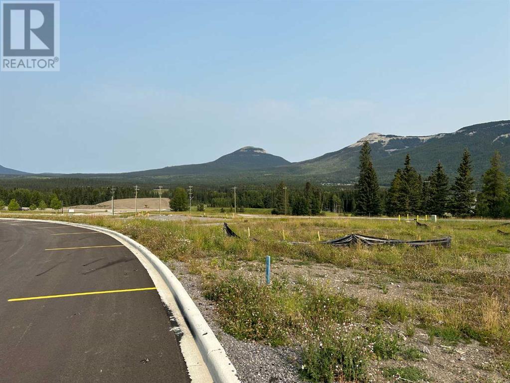 Lorem Ipsum Dolor, Nordegg, Alberta  T0M  - Photo 21 - DEMO25982470