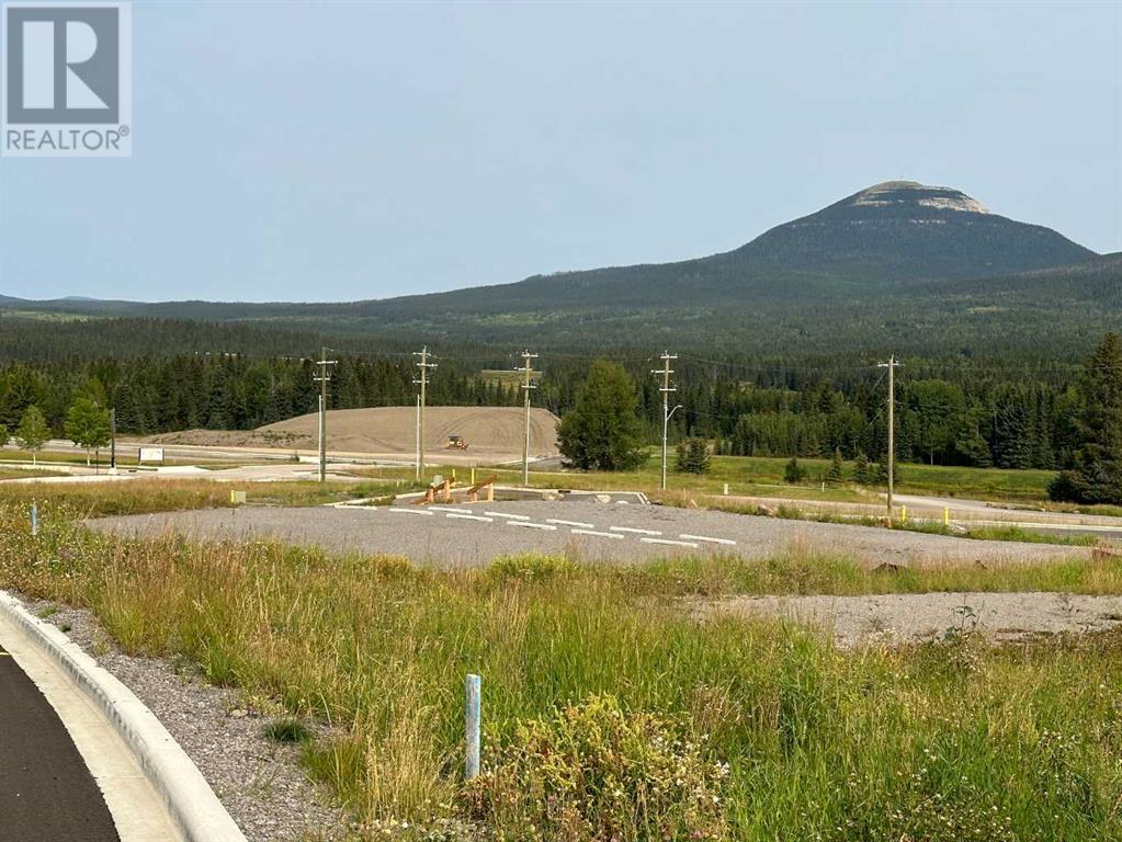 Lorem Ipsum Dolor, Nordegg, Alberta  T0M  - Photo 22 - DEMO25982470