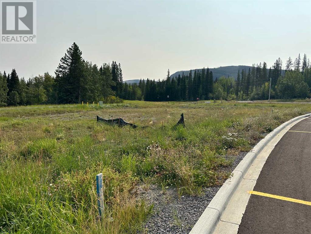 Lorem Ipsum Dolor, Nordegg, Alberta  T0M  - Photo 23 - DEMO25982470