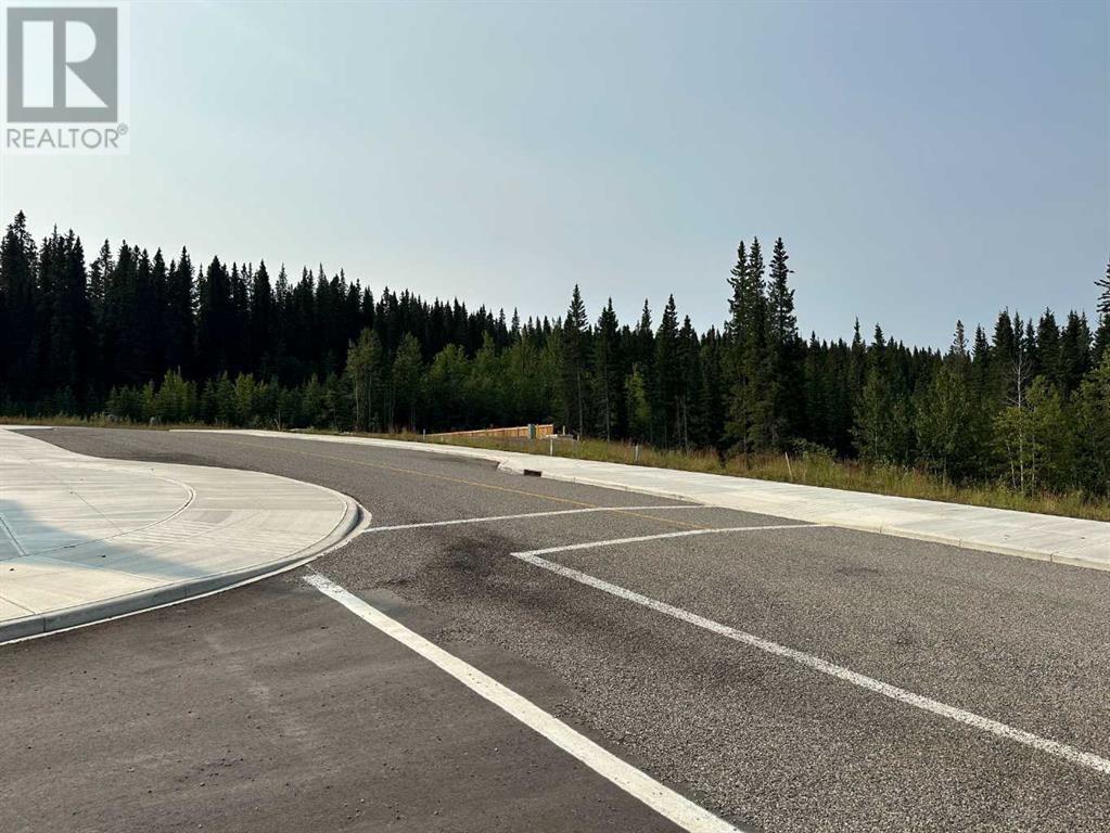 Lorem Ipsum Dolor, Nordegg, Alberta  T0M  - Photo 28 - DEMO25982470