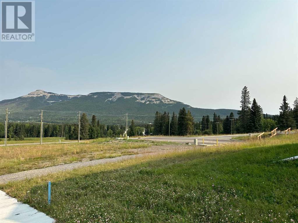 Lorem Ipsum Dolor, Nordegg, Alberta  T0M  - Photo 31 - DEMO25982470
