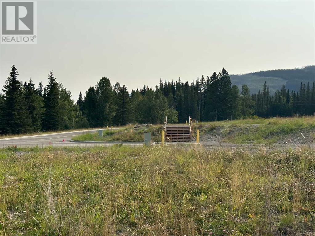 Lorem Ipsum Dolor, Nordegg, Alberta  T0M  - Photo 33 - DEMO25982470