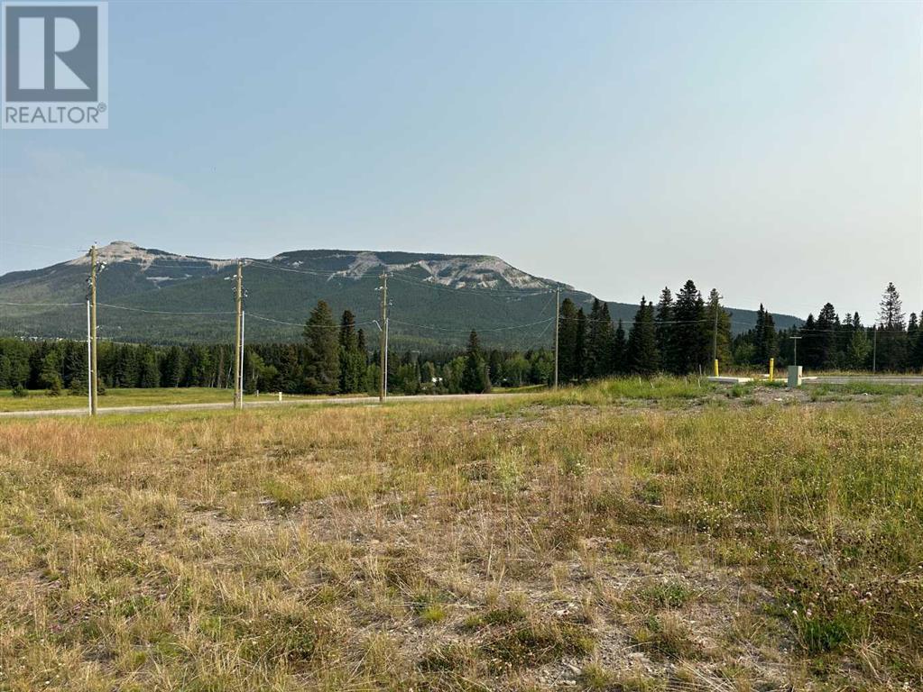Lorem Ipsum Dolor, Nordegg, Alberta  T0M  - Photo 34 - DEMO25982470