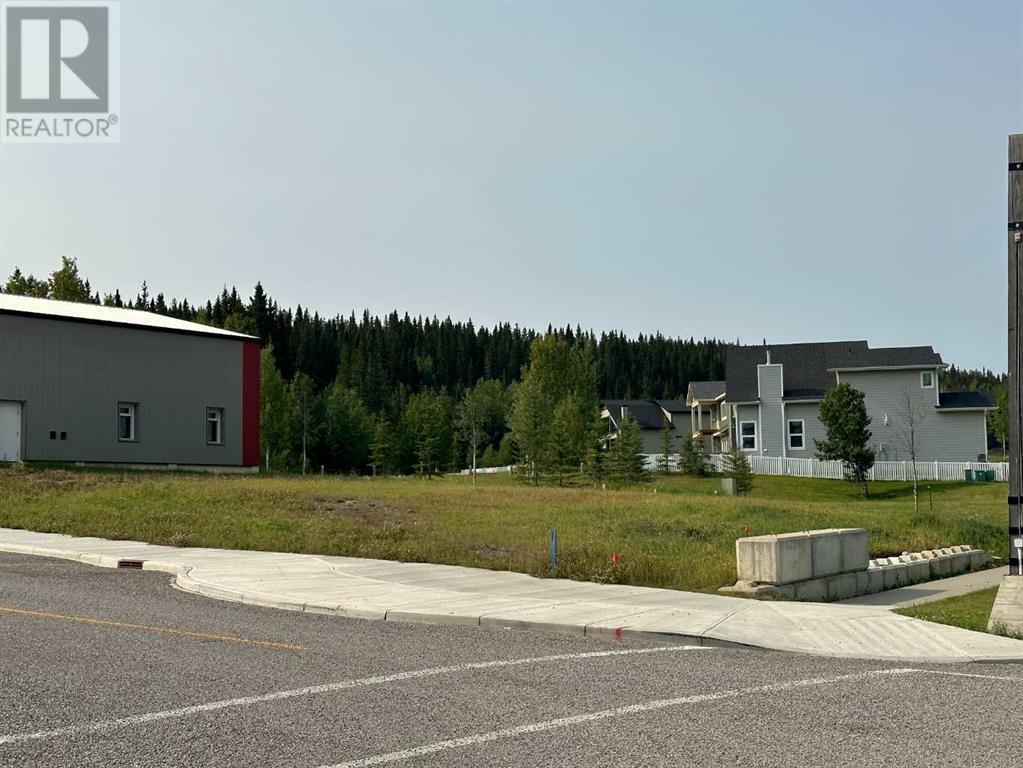 Lorem Ipsum Dolor, Nordegg, Alberta  T0M  - Photo 6 - DEMO25982470