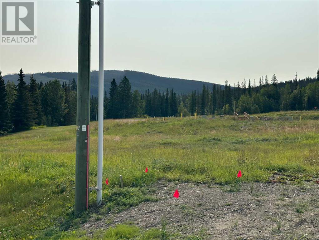 Lorem Ipsum Dolor, Nordegg, Alberta  T0M  - Photo 7 - DEMO25982470