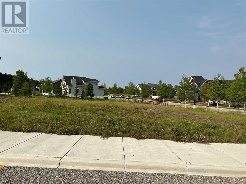 Lorem Ipsum Dolor, Nordegg, Alberta  T0M  - Photo 9 - DEMO25982470