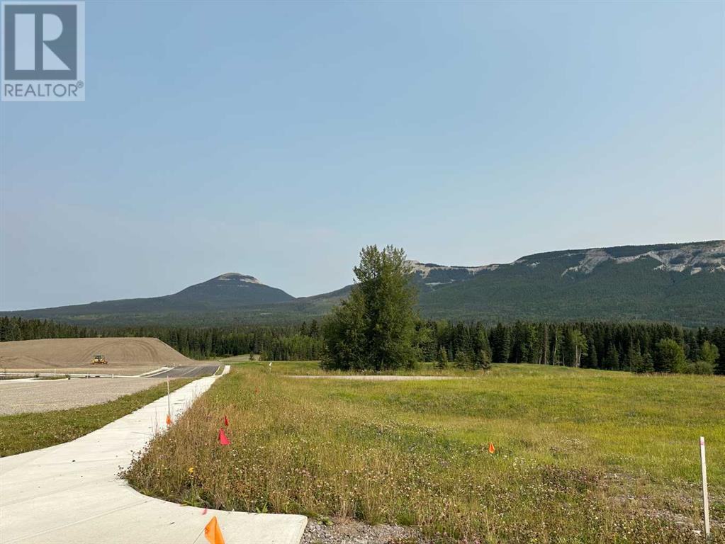 124 Centre Street, Nordegg, Alberta  T0M 0H0 - Photo 8 - A2076087