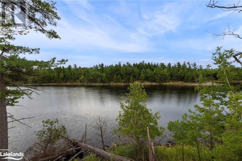 1 B159 Island, The Archipelago, Ontario  P0C 1H0 - Photo 11 - 40473273